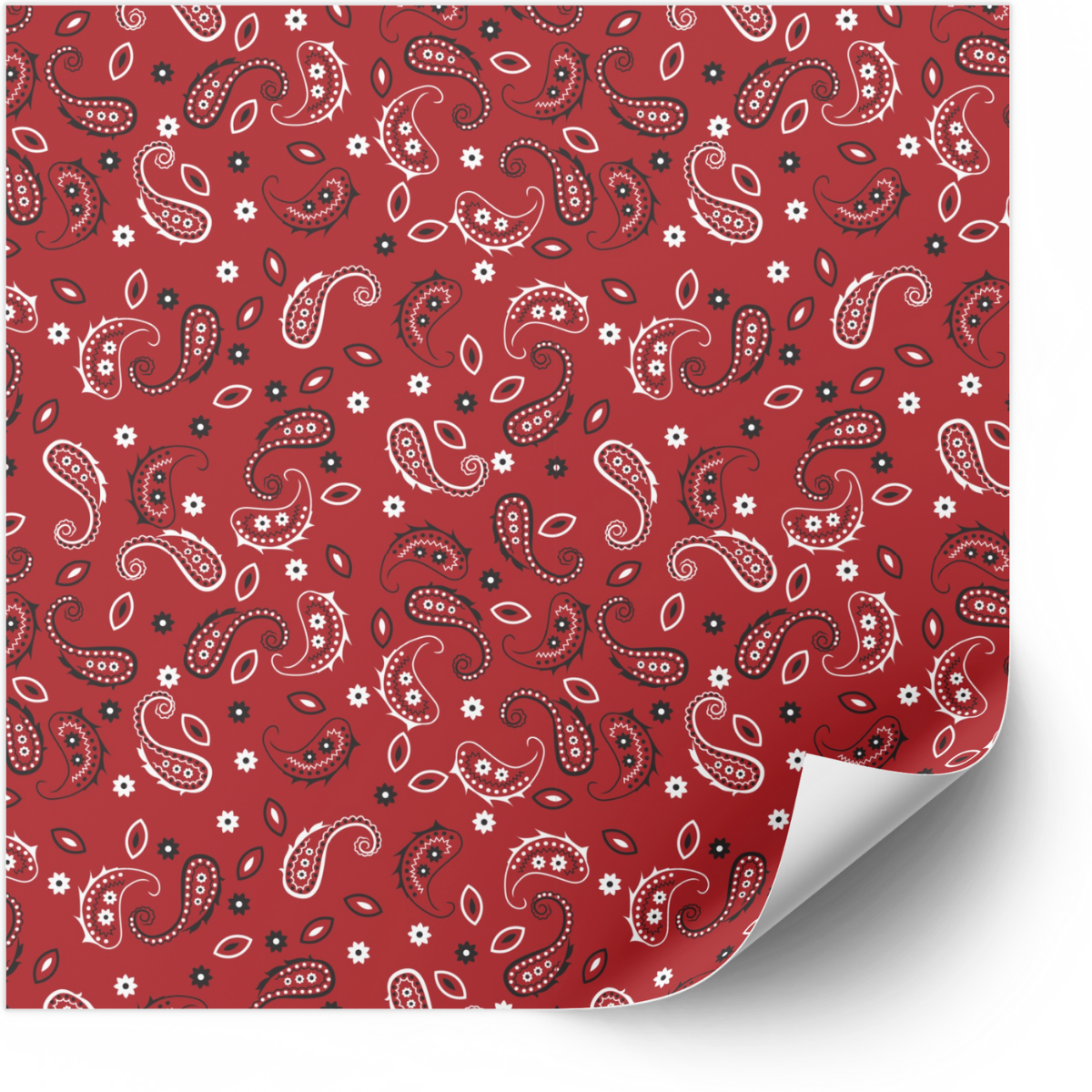 Paisley Premium Vinyl Patterns